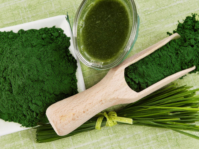 espirulina-640×480 Espirulina (Arthrospira platensis)